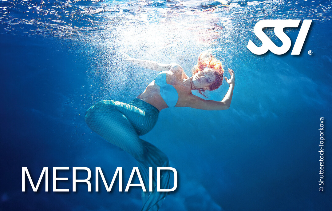 Mermaid Dive Mode